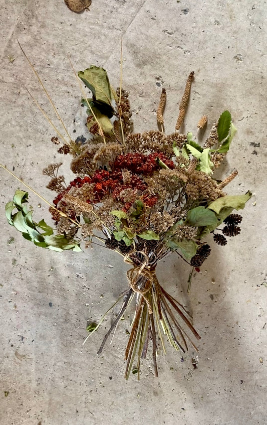 Dried Berries + Mini Cones