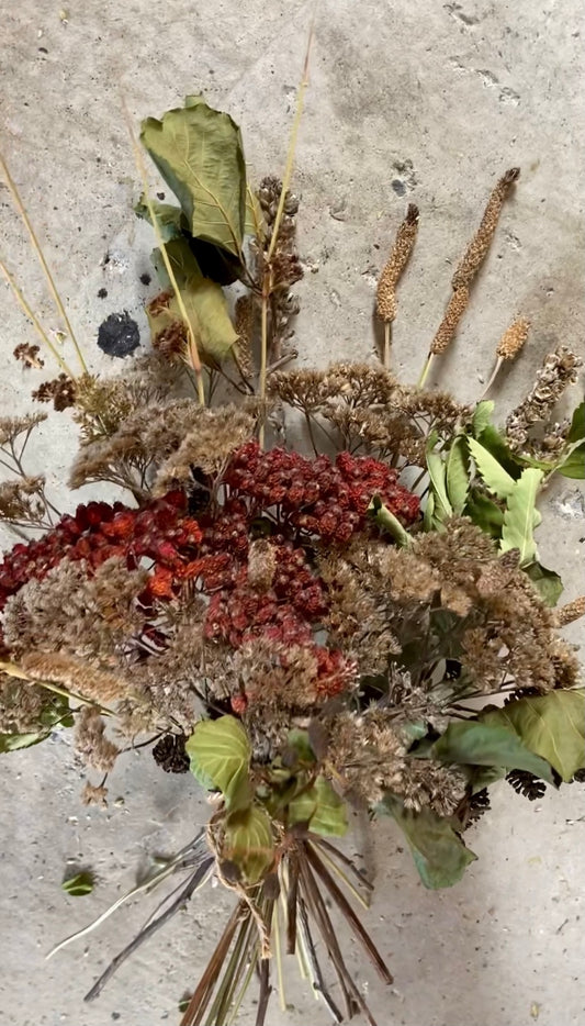 Dried Berries + Mini Cones